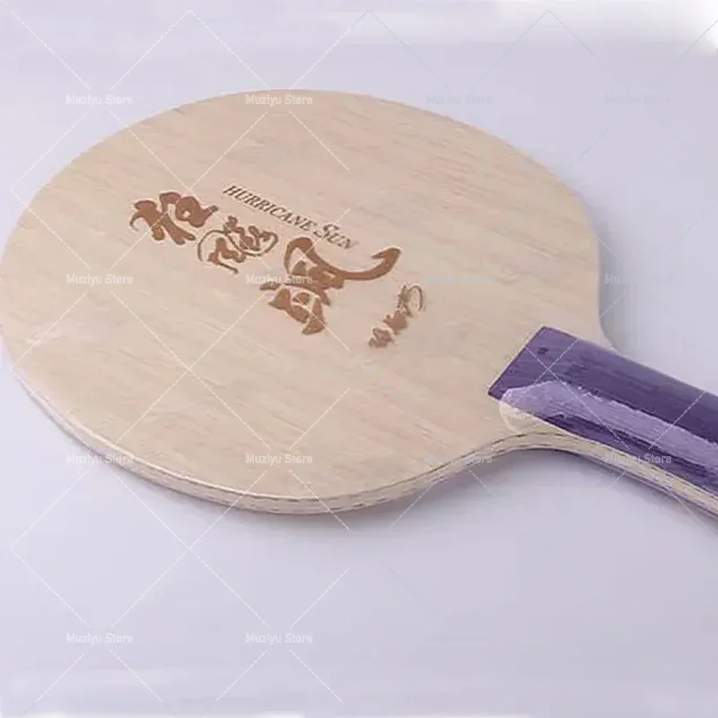 Original DHS Hurricane Sa Tabl - Table Tennis Champion review and price
