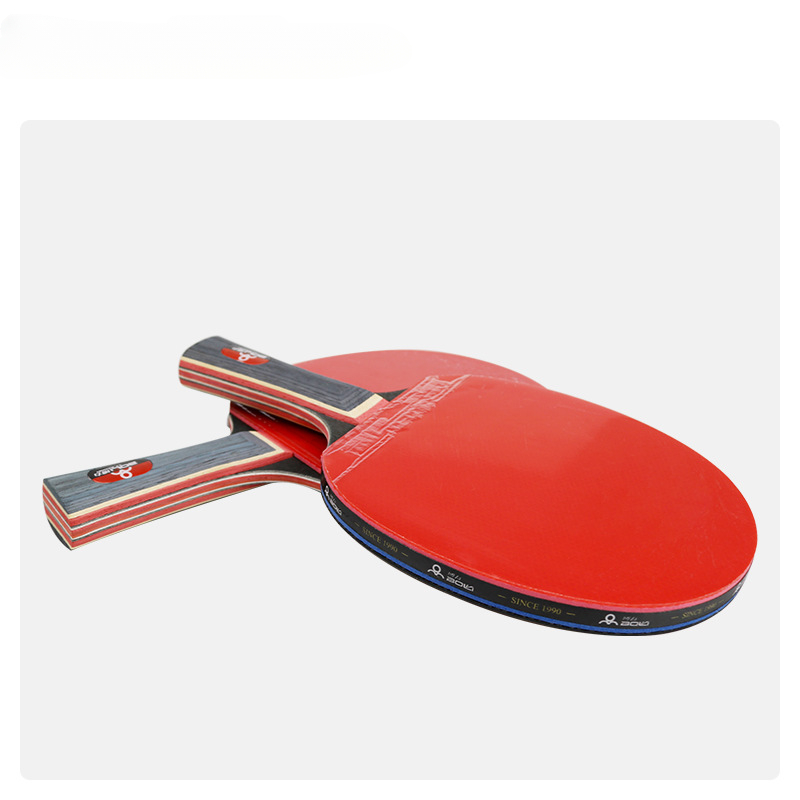 Training Entertainment 2 Racke - Table Tennis Net review and price