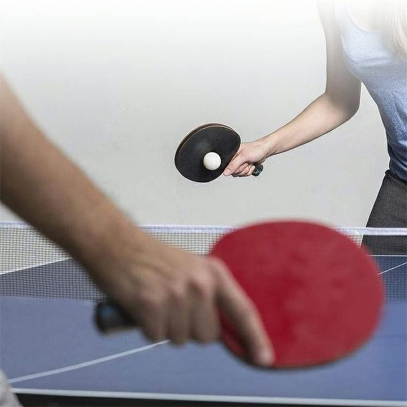 Portable Table Tennis Net Poly - Table Tennis Online review and price