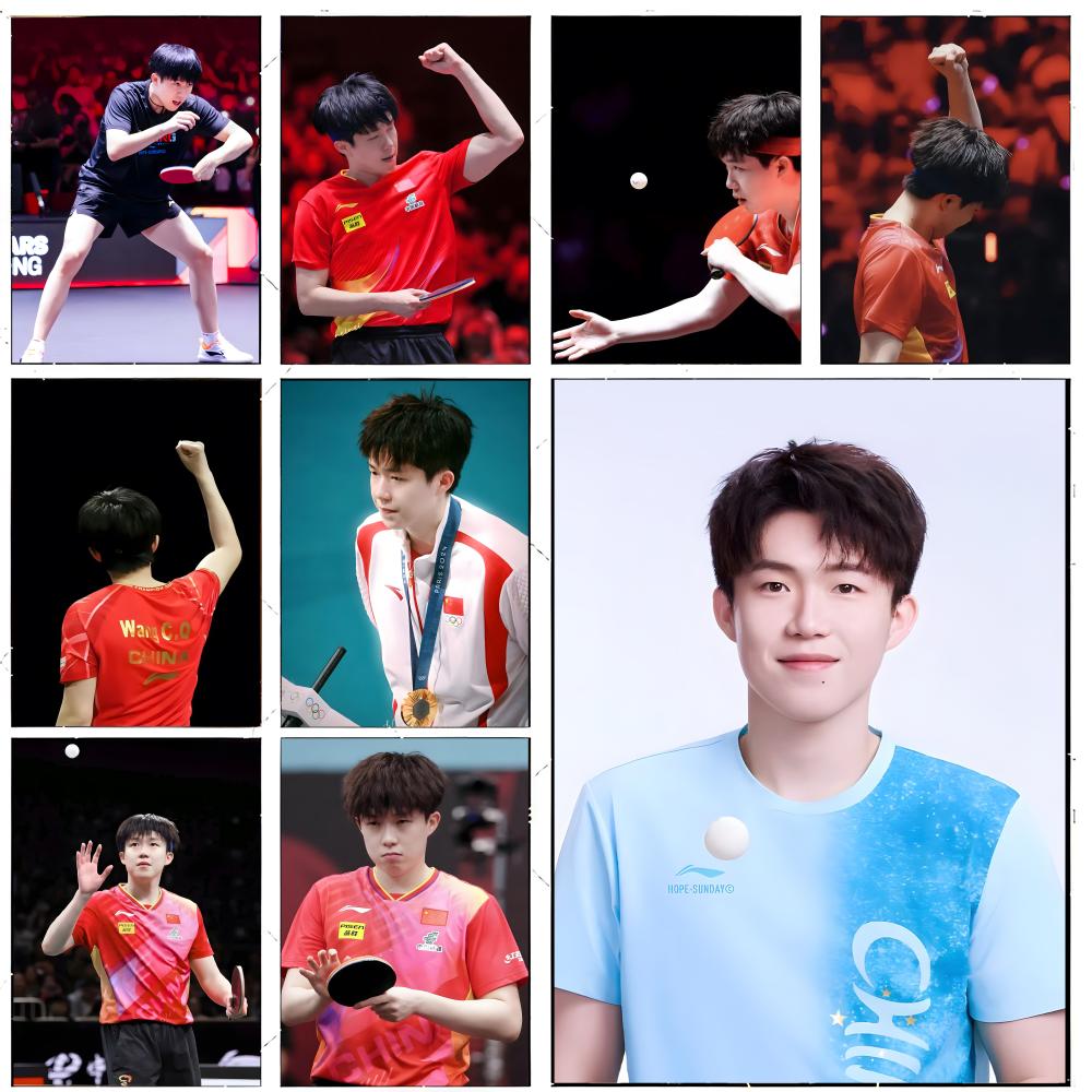 Table Tennis Champion Wang Chu - Table Tennis Champion review and price